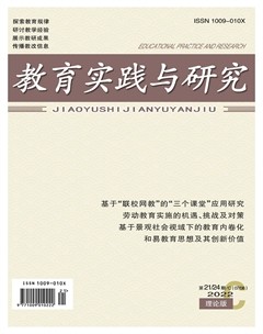 教育实践与研究·理论版
