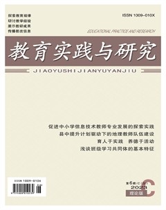 教育实践与研究·理论版