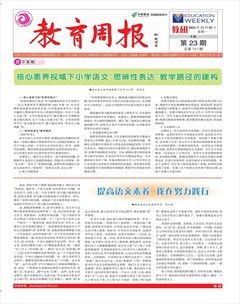 教育周报·教研版