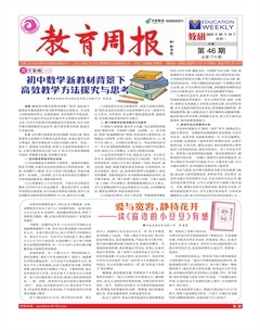 教育周报·教研版