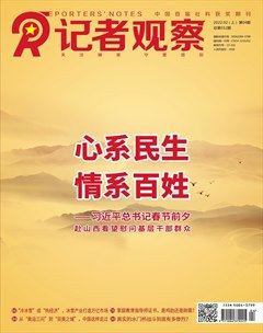 记者观察