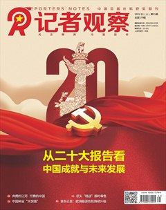 记者观察