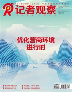 记者观察
