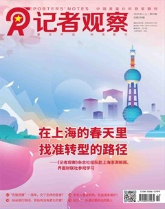 记者观察