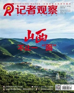 记者观察
