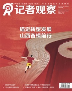 记者观察