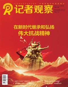 记者观察