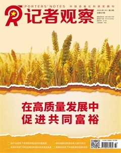 记者观察·中旬刊