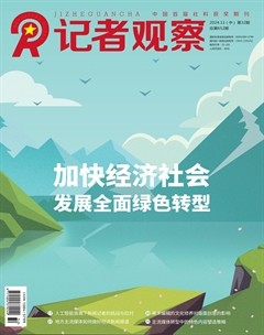 记者观察·中旬刊