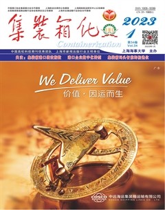 集装箱化
