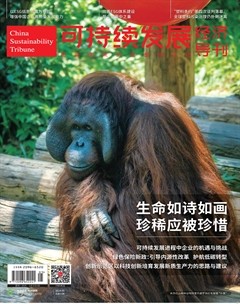 可持续发展经济导刊