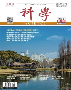科学