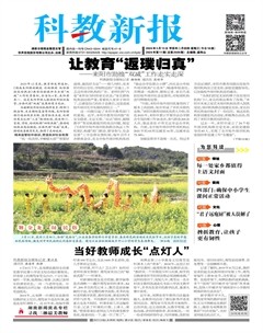 科教新报