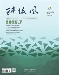 科技風(fēng)