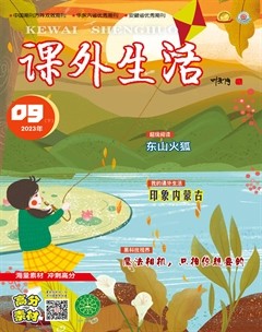 课外生活·少年寻宝记