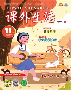 课外生活·少年寻宝记