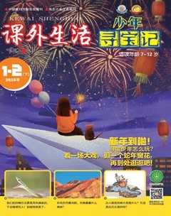 课外生活·少年寻宝记