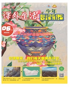 课外生活·少年寻宝记