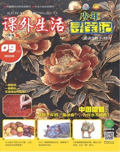 课外生活·少年寻宝记