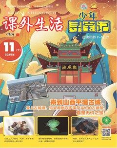 课外生活·少年寻宝记