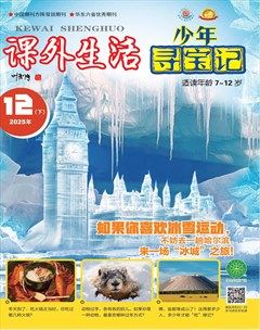 课外生活·少年寻宝记