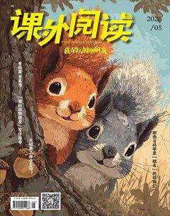 课外阅读