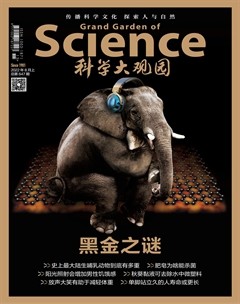 科学大观园