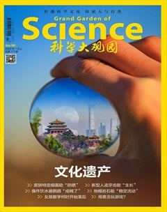 科學(xué)大觀園