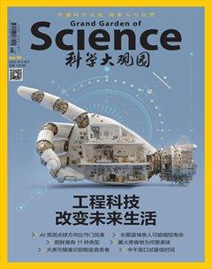 科學(xué)大觀園