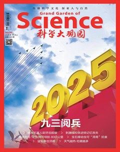 科学大观园
