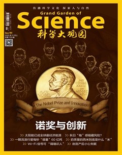 科学大观园
