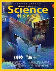 科学大观园