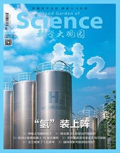 科学大观园