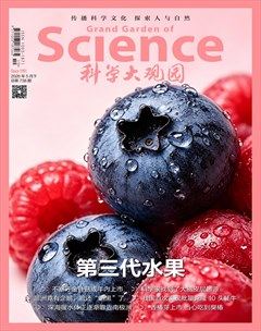 科学大观园