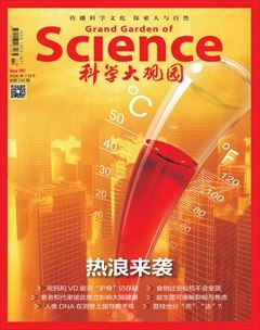 科学大观园