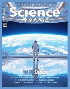 科学大观园