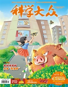 科学大众·小诺贝尔（中高）