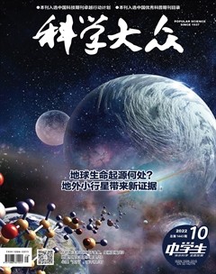 科学大众（中学）