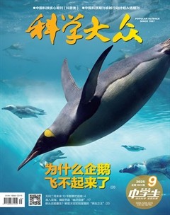 科學(xué)大眾（中學(xué)）