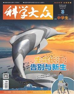 科学大众（中学）