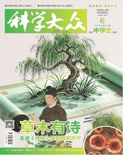 科学大众（中学）