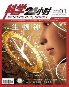 2018年第1期
