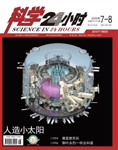 2020年第8期