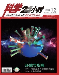 2020年第12期