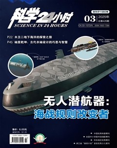 2025年第3期