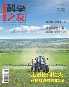科学之友