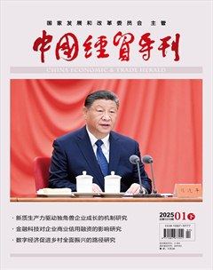 中国经贸导刊