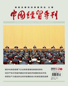 中国经贸导刊