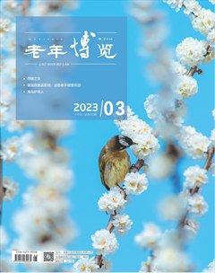 老年博览·下半月