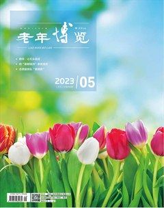 老年博览·上半月